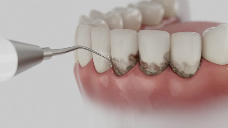 Reliable Dental contractor in Lambertville, MI by Dentist Open Now
